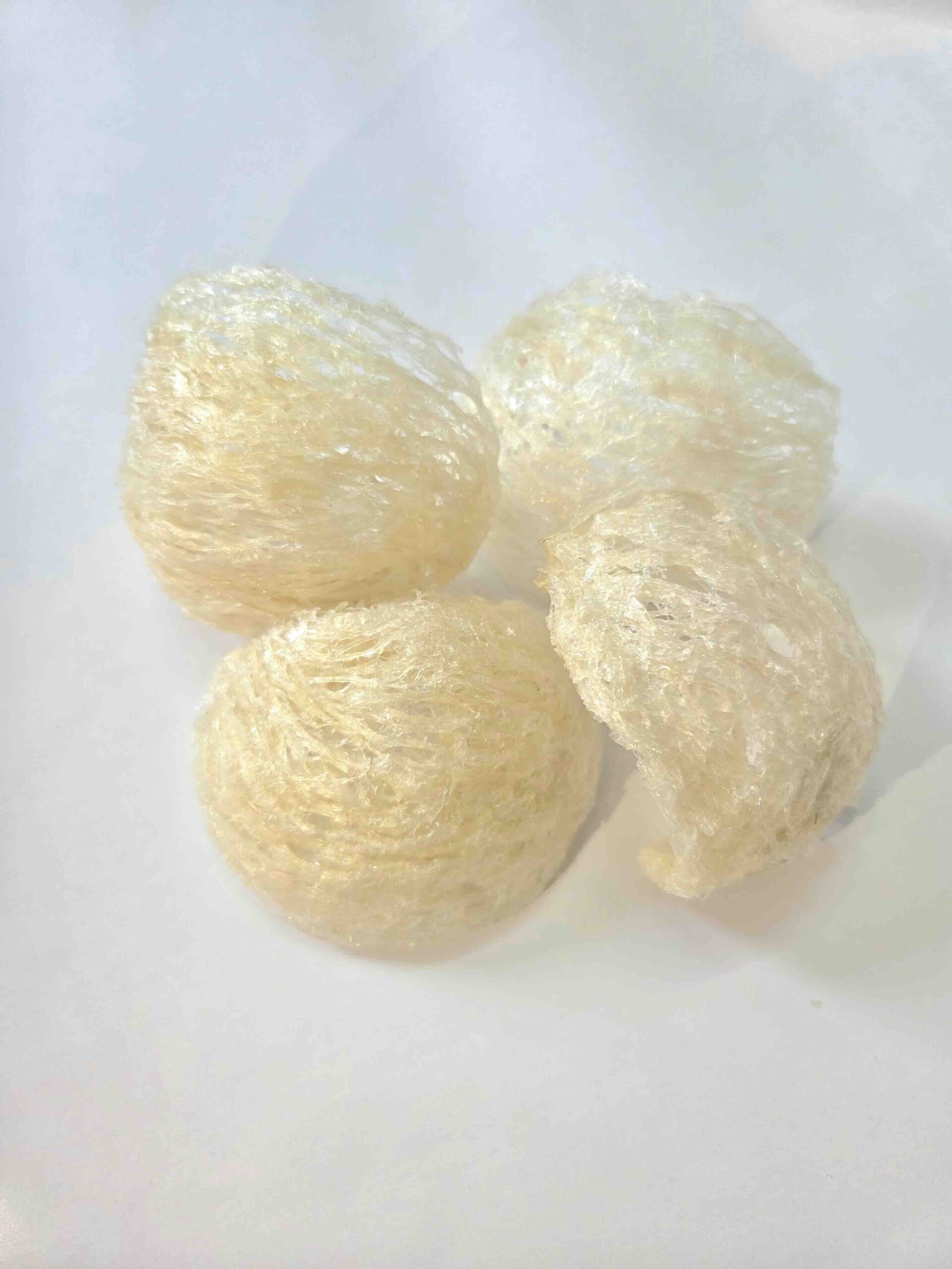 Yến Rút Lông Nước