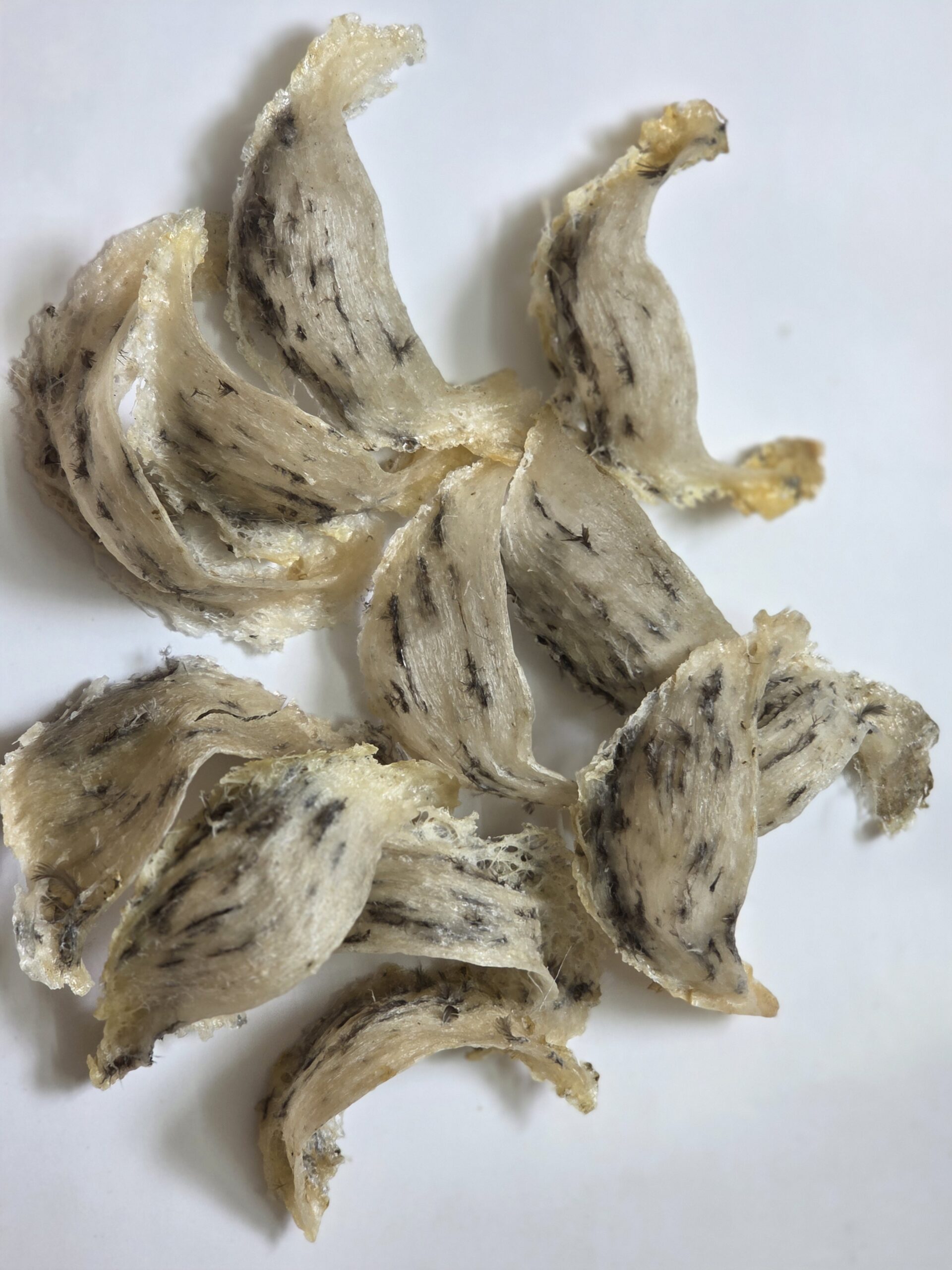 Yến Xô